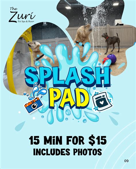 Zuri pet spa - The Zuri Pet Spa & Resort located in Rancho Mission Viejo city, CA with main service is Pet boarding service. If you need to contact The Zuri Pet Spa & Resort, just call (949) 429-7222, or go to The Zuri Pet Spa & Resort at 28452 Airoso St, Rancho Mission Viejo, CA 92694.